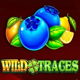 Wild Traces slot visual from Amusnet Interactive available on ultimecerrad.pl